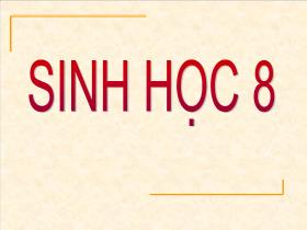 Bài giảng sinh học 8 - Tiết 43: Cấu tạo và chức năng của da