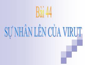 Bài giảng Sinh học Lớp 10 nâng cao - Bài 44: Sự nhân lên của virut