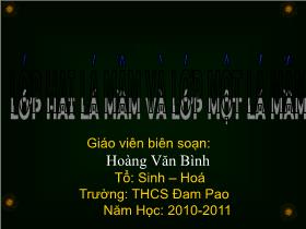 Bài giảng sinh học Lớp 6 - Lớp hai lá mầm và lớp một lá mầm - Năm học 2010-2011 - Hoàng Văn Bình