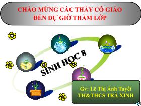 Bài giảng Sinh học Lớp 8 - Bài 63: Cơ sở khoa học của các biện pháp tránh thai - Lê Thị Ánh Tuyết