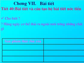 Bài giảng Sinh học Lớp 8 - Tiết 40: Bài tiết và cấu tạo hệ bài tiết nước tiểu