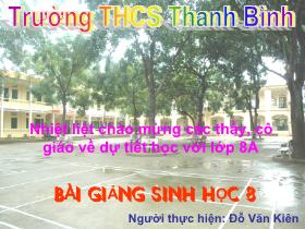 Bài giảng Sinh học Lớp 8 - Tiết 51: Hệ thần kinh sinh dưỡng