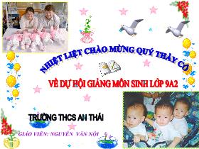 Bài giảng Sinh học Lớp 9 - Bài 15: ADN - Nguyễn Văn Nội