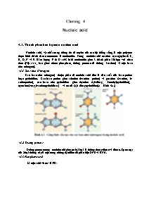 Giáo án Hóa học Lớp 12 - Chương 4: Nucleic Acid