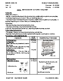 Giáo án Thể dục Lớp 6 - Tiết 22: Bóng chuyền Mini - Chạy bền - Năm học 2009-2010 - Trần Chiến Thắng