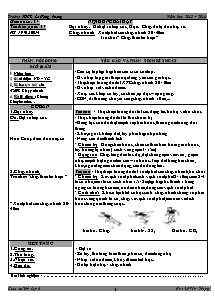 Giáo án Thể dục Lớp 6 - Tiết 47+48 - Năm học 2013-2013 - Lê Văn Phụng