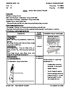 Giáo án Thể dục Lớp 7 - Tiết 24: Kiểm tra chạy nhanh - Năm học 2010-2011