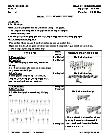 Giáo án Thể dục Khối 8 - Tiết 13: Kiểm tra bài thể dục - Năm học 2010-2011