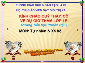 Bài giảng Tự nhiên và xã hội Lớp 1 - Bài 30: Trời nắng, trời mưa - Trần Thị Song Thao