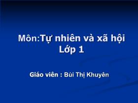 Bài giảng Tự nhiên và xã hội Lớp 1 - Bài 4: Bảo vệ mắt và tai - Bùi Thị Khuyên