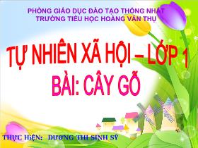 Bài giảng Tự nhiên và xã hội Lớp 1 - Bài: Cây gỗ - Dương Thi Sinh Sỹ