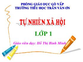 Bài giảng Tự nhiên và xã hội Lớp 1 - Bài: Con cá - Hoà Thị Bình Minh