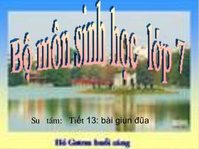 Bài giảng Sinh học Lớp 7 - Tiết 13: Giun đũa