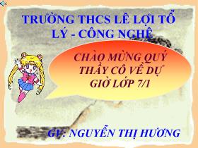 Bài giảng Vật lí Lớp 7 - Tiết 9: Tổng kết chương I: Quang học - Nguyễn Thị Hương