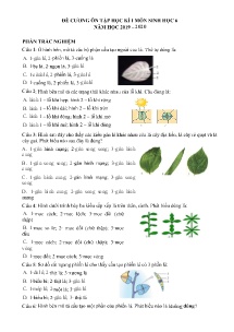 Đề cương ôn tập học kì I môn Sinh học Lớp 6 - Năm học 2019-2020 - Trường THCS Văn Quán
