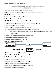 Đề cương ôn tập học kì I môn Sinh học Lớp 7 - Năm học 2018-2019 - Phòng GD&ĐT Quận 1