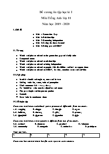 Đề cương ôn tập học kì I môn Tiếng Anh Lớp 11 - Năm học 2018-2019 - Trường THPT Chu Văn An (Có đáp án)