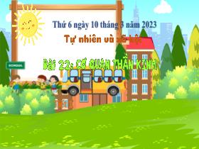 Bài giảng Khoa học & Tự nhiên 3 - Bài 22: Cơ quan thần kinh (Tiết 1) - Năm học 2022-2023 - Hà Thị Hiên