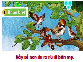 Bài giảng Tiếng Việt 1 - Bài 21: R, r, S, s - Trần Thị Tú Uyên