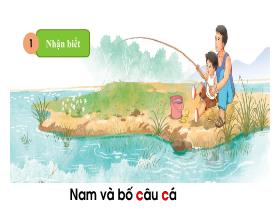 Bài giảng Tiếng Việt 1 - Bài 3: C, c , dấu sắc - Trần Thị Tú Uyên