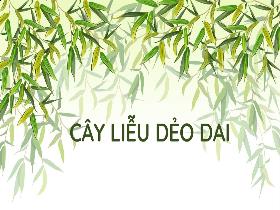 Bài giảng Tiếng Việt 1 - Bài 5: Cây liễu dẻo dai - Trần Thị Tú Uyên