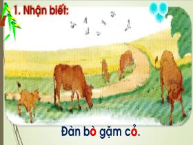 Bài giảng Tiếng Việt 1 - Bài 6: O, o, dấu phẩy - Trần Thị Tú Uyên