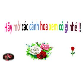 Bài giảng Tiếng Việt 1 - Bài 72: Ươm, ươp - Trần Thị Tú Uyên