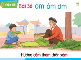 Bài giảng Tiếng Việt 1 Sách Kết nối tri thức - Bài 36: Om, ôm, ơm - Trần Thị Tú Uyên