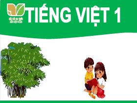 Bài giảng Tiếng Việt 1 Sách Kết nối tri thức - Chủ đề 7: Thế giới trong mắt em - Bài 1: Tia nắng đi đâu? - Trần Thị Tú Uyên