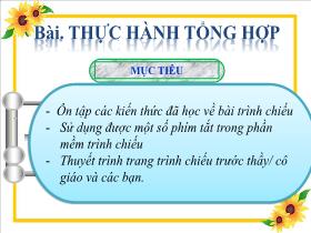 Bài giảng Tin học 4 - Bài 5: Thực hành tổng hợp - Trần Thị Long