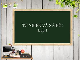 Bài giảng Tự nhiên & Xã hội 1 - Bài 14: Ôn tập chủ đề cộng đồng địa phương - Trần Thị Long