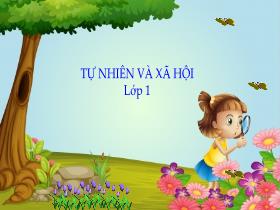 Bài giảng Tự nhiên & Xã hội 1 - Chủ đề 4: Thực vật và động vật - Bài 15: Cây xung quanh em - Trần Thị Long