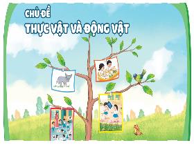 Bài giảng Tự nhiên & Xã hội 1 - Chủ đề: Thực vật và động vật - Bài 16: Chăm sóc và bảo vệ cây trồng (Tiết 1) - Trần Thị Long