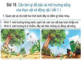 Bài giảng Tự nhiên & Xã hội 2 - Bài 18: Cần làm gì để bảo vệ môi trường sống của thực vật và động vật (Tiết 1) - Trần Thị Long