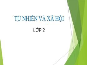 Bài giảng Tự nhiên & Xã hội 2 - Bài 18: Cần làm gì để bảo vệ môi trường sống của thực vật và động vật (Tiết 2) - Trần Thị Long