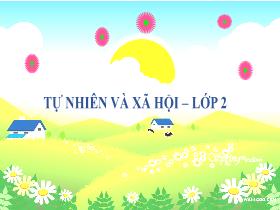 Bài giảng Tự nhiên & Xã hội 2 - Bài 24: Chăm sóc, bảo vệ cơ quan hô hấp (Tiết 1) - Trần Thị Long