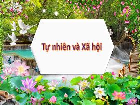 Bài giảng Tự nhiên & Xã hội 2 - Bài 26: Chăm sóc, bảo vệ cơ quan bài tiết nước tiểu - Trần Thị Long