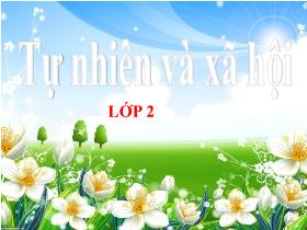 Bài giảng Tự nhiên & Xã hội 2 - Bài 27: Ôn tập chủ đề con người và sức khỏe (Tiết 1) - Trần Thị Long