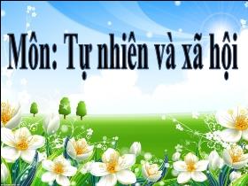 Bài giảng Tự nhiên & Xã hội 2 - Bài 28: Các mùa trong năm (Tiết 2) - Trần Thị Long