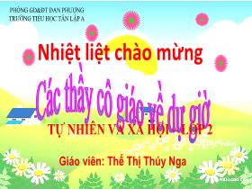 Bài giảng Tự nhiên & Xã hội 2 - Bài: Phòng tránh ngộ độc khi ở nhà - Thế Thị Thúy Nga