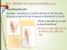 Bài giảng Tự nhiên & Xã hội 2 - Chủ đề 5: Con người và sức khỏe - Bài 21: Tìm hiểu về cơ quan vận động (Tiết 2) - Trần Thị Long