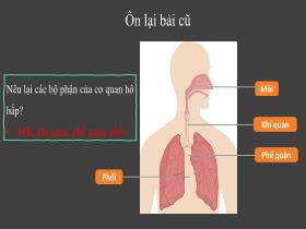 Bài giảng Tự nhiên & Xã hội 2 - Chủ đề 5: Con người và sức khỏe - Bài 23: Tìm hiểu cơ quan hô hấp (Tiết 2) - Trần Thị Long