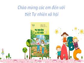 Bài giảng Tự nhiên & Xã hội 2 - Chủ đề 5: Con người và sức khỏe - Bài 21: Tìm hiểu về cơ quan vận động (Tiết 1) - Trần Thị Long