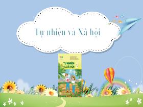Bài giảng Tự nhiên & Xã hội 2 Sách Kết nối tri thức - Chủ đề 4: Thực vật và động vật - Bài 16: Thực vật sống ở đâu? (Tiết 1) - Trần Thị Long