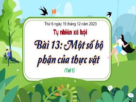 Bài giảng Tự nhiên & Xã hội 3 - Bài 13: Một số bộ phận của thực vật (Tiết 1) - Năm học 2023-2024 - Hà Thị Hiên