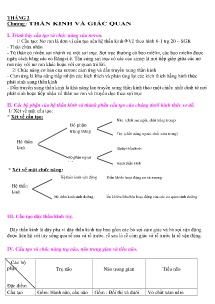 Đề cương bồi dương HSG Sinh học 8 - Chương: Thần kinh và giác quan