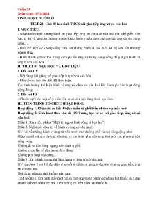 Giáo án Hoạt động trải nghiệm 7 - Tuần 23 - Năm học 2023-2024