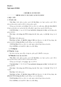 Giáo án Khoa học tự nhiên 9 - Tuần 1, Bài 37: Nucleic acid and gene - Năm học 2024-2025
